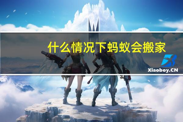 什么情况下蚂蚁会搬家