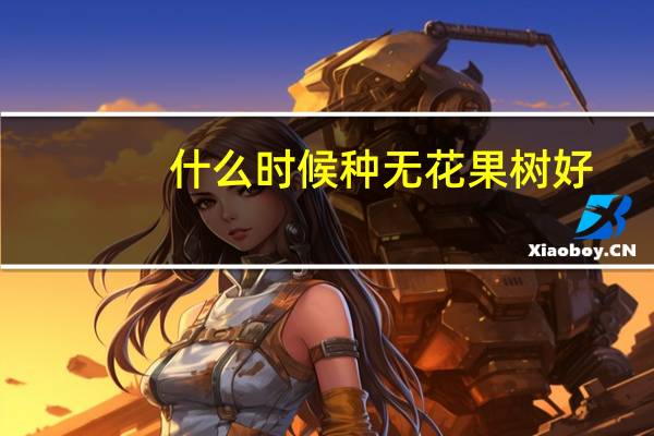 什么时候种无花果树好