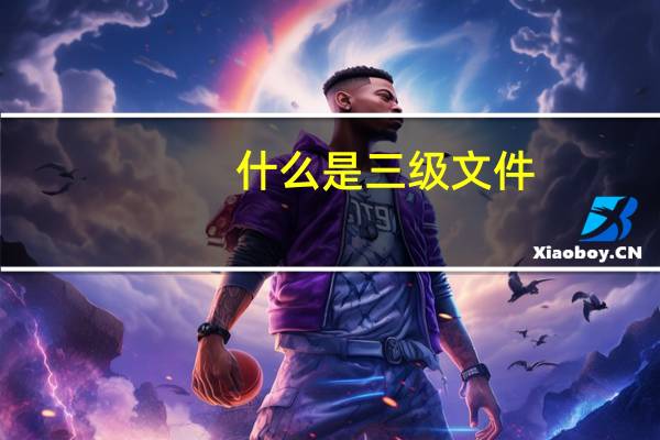 什么是三级文件