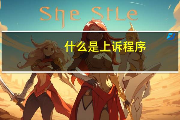 什么是上诉程序