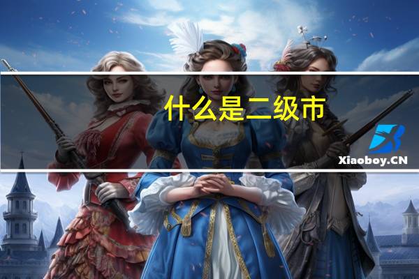 什么是二级市