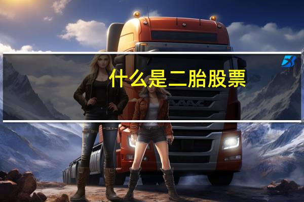 什么是二胎股票