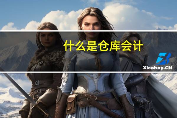 什么是仓库会计