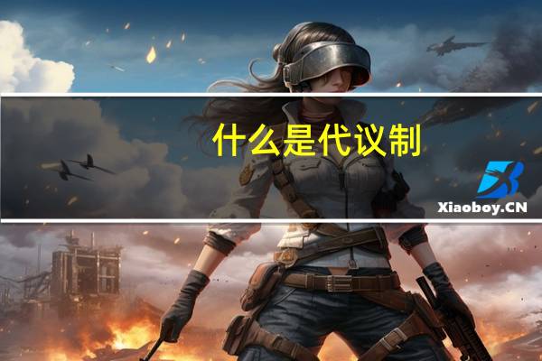 什么是代议制