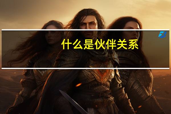 什么是伙伴关系