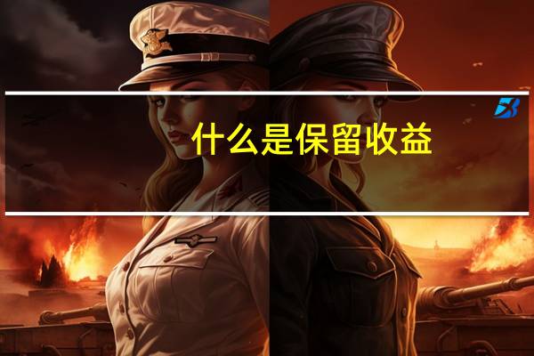 什么是保留收益