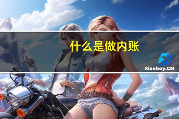 什么是做内账