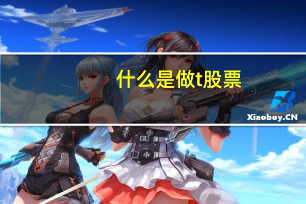 什么是做t股票