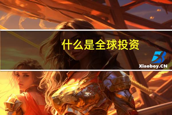 什么是全球投资
