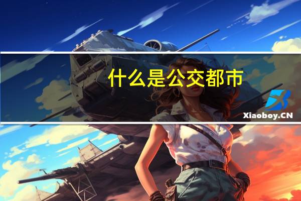 什么是公交都市