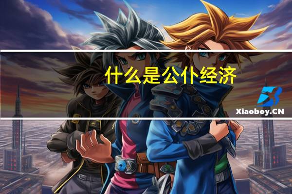 什么是公仆经济