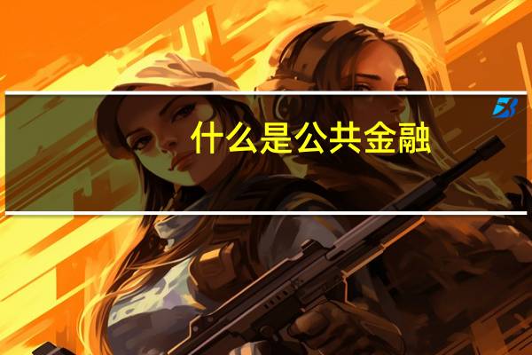 什么是公共金融