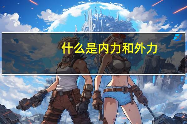 什么是内力和外力