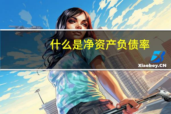 什么是净资产负债率