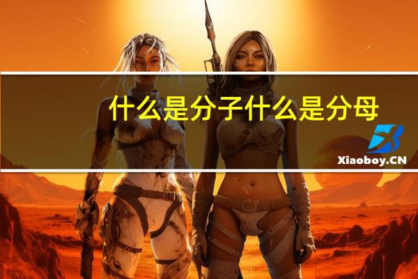 什么是分子什么是分母