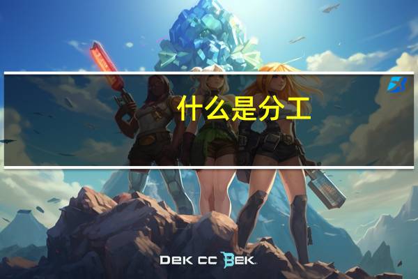 什么是分工