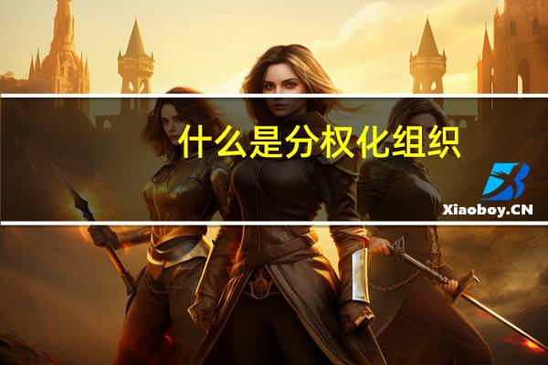 什么是分权化组织