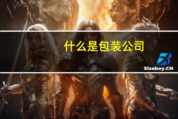 什么是包装公司