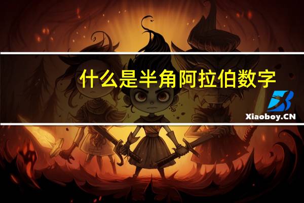 什么是半角阿拉伯数字