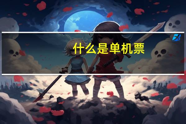 什么是单机票