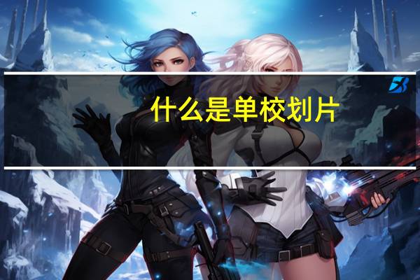 什么是单校划片