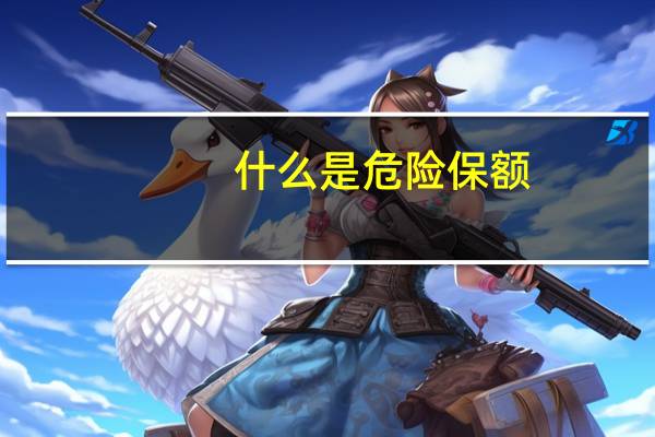 什么是危险保额