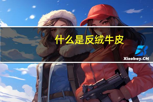 什么是反绒牛皮
