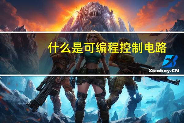 什么是可编程控制电路