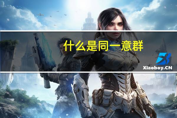 什么是同一意群