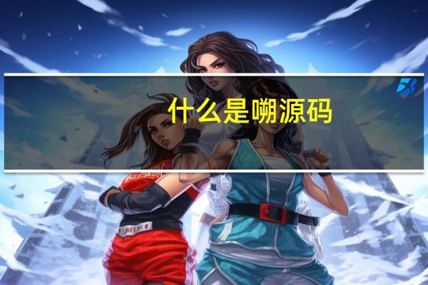 什么是嗍源码