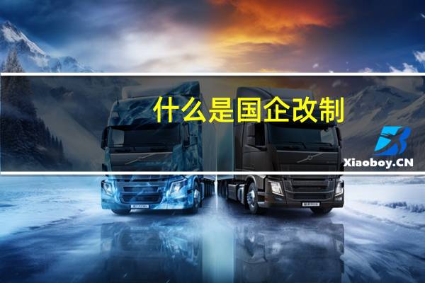什么是国企改制