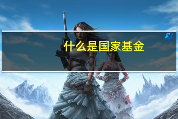 什么是国家基金