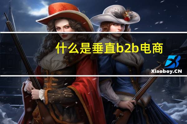 什么是垂直b2b电商