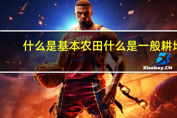 什么是基本农田什么是一般耕地