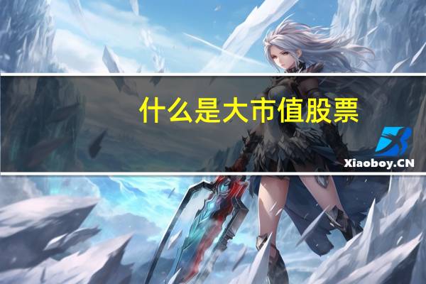 什么是大市值股票