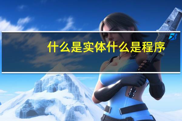 什么是实体什么是程序