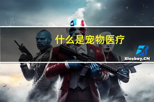 什么是宠物医疗