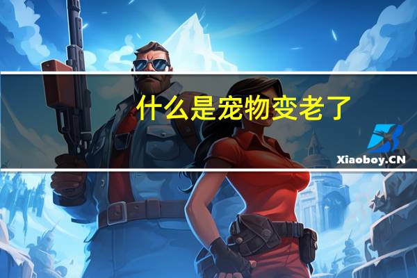 什么是宠物变老了