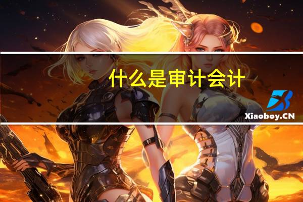 什么是审计会计