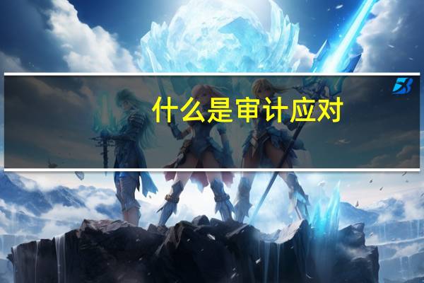 什么是审计应对