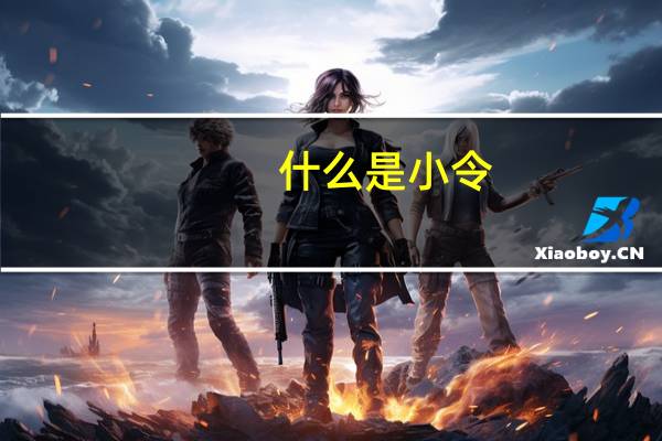 什么是小令