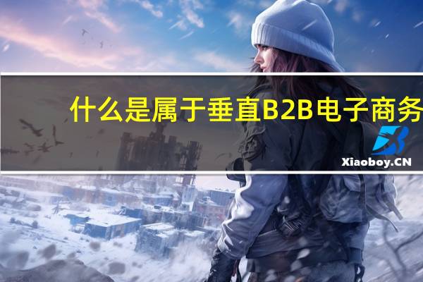 什么是属于垂直B2B电子商务