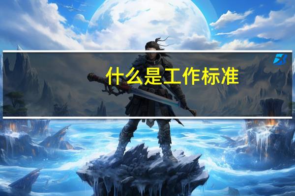 什么是工作标准