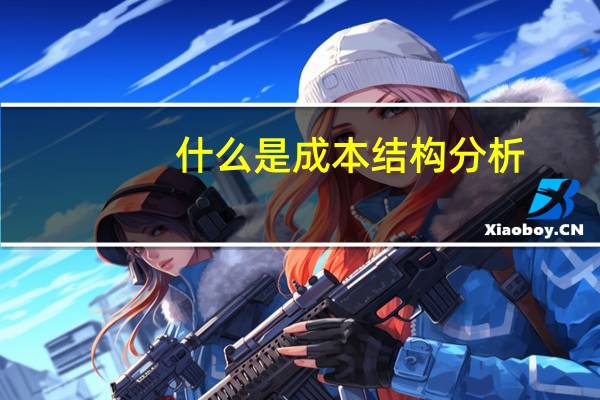 什么是成本结构分析
