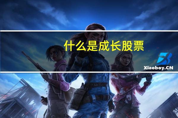什么是成长股票