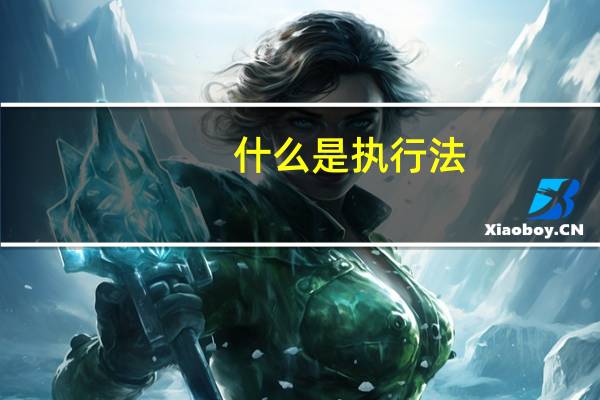 什么是执行法