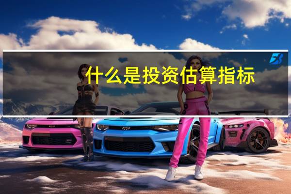 什么是投资估算指标