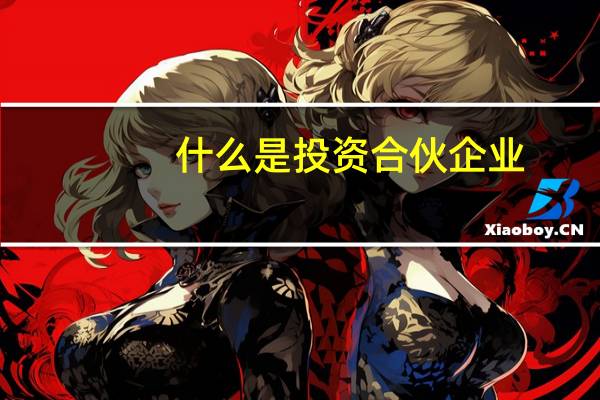 什么是投资合伙企业