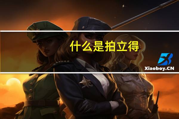 什么是拍立得