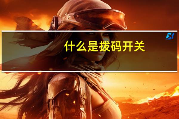 什么是拨码开关
